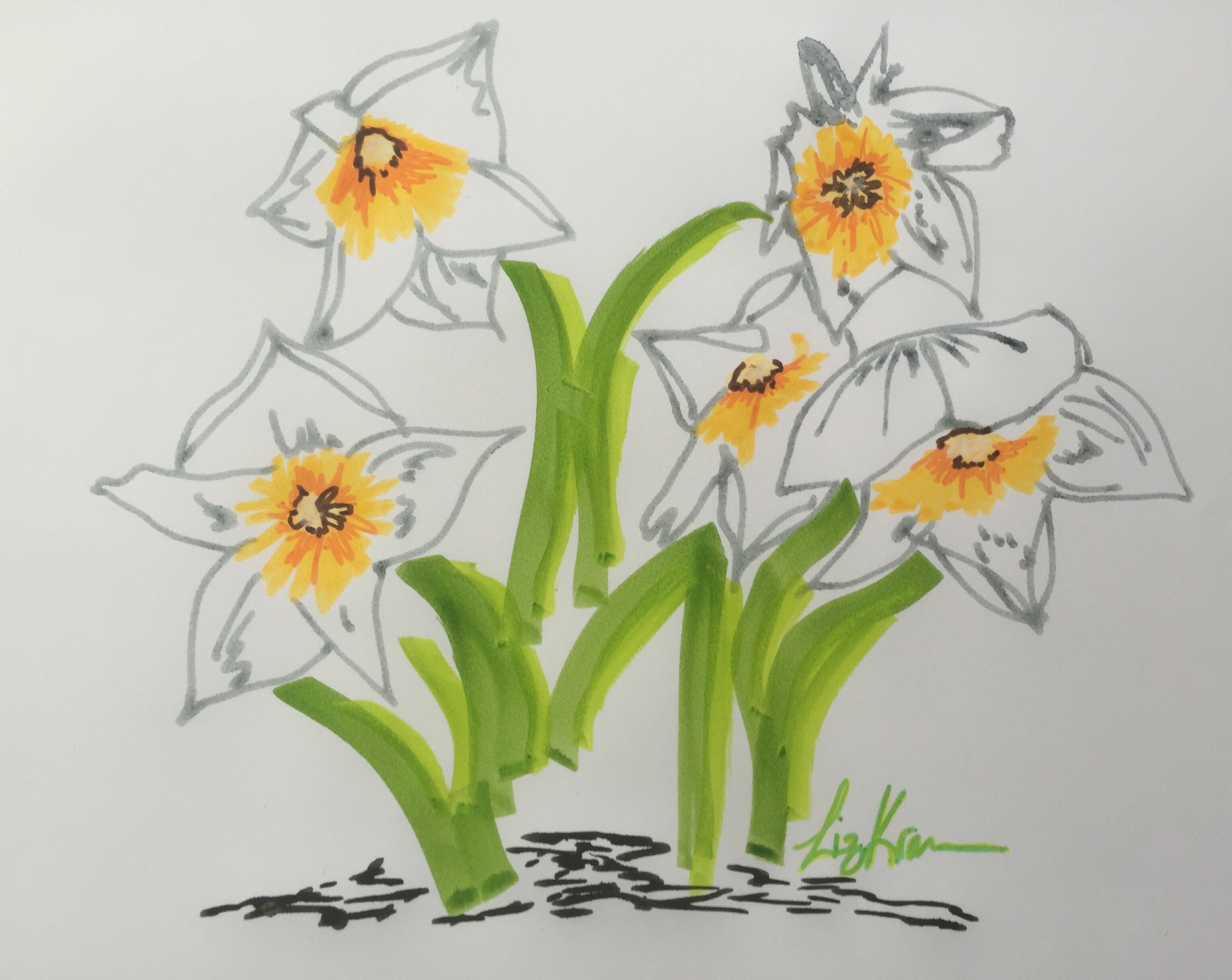 Pretty daffodils on a beautiful spring day.