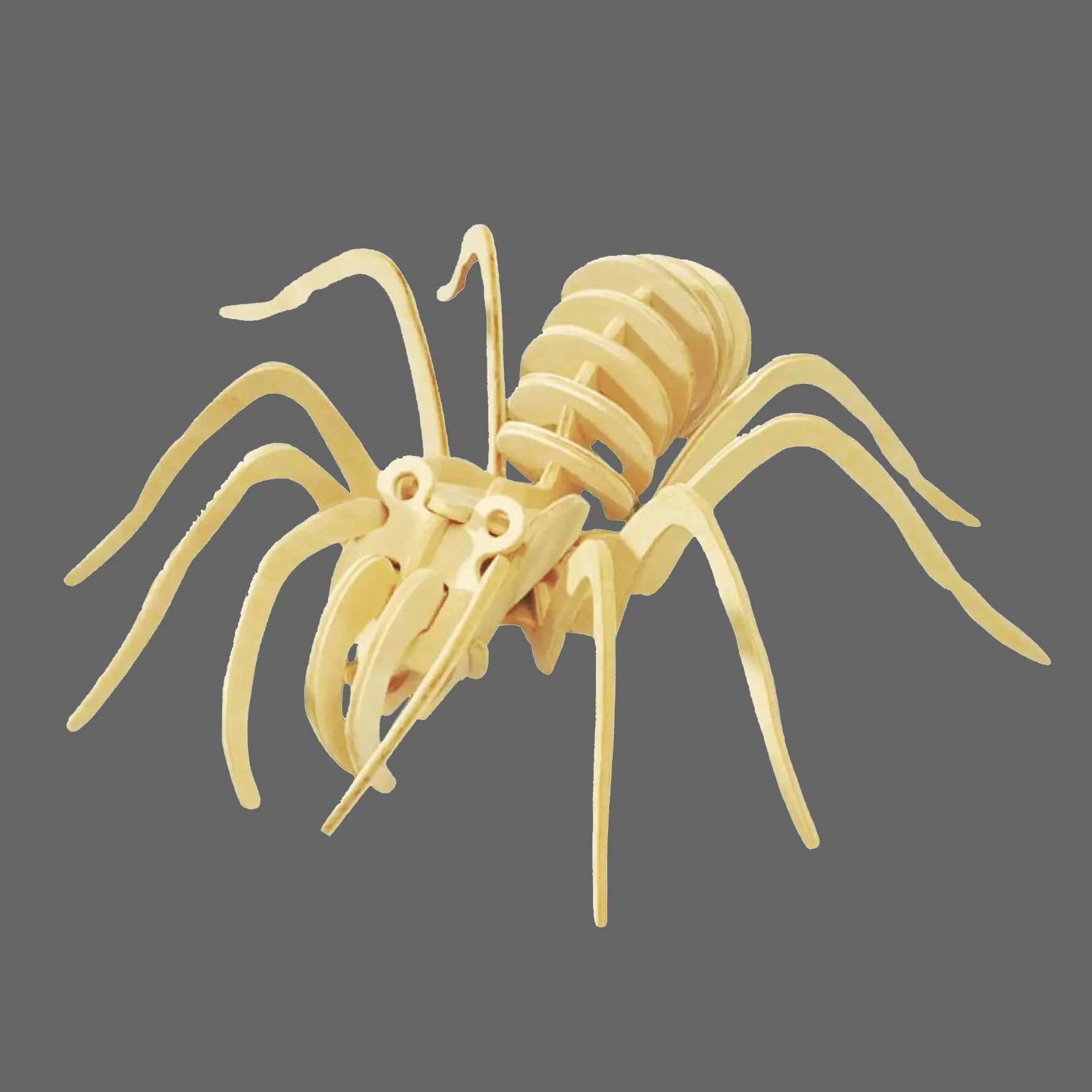 3D Wooden Puzzle: Spider