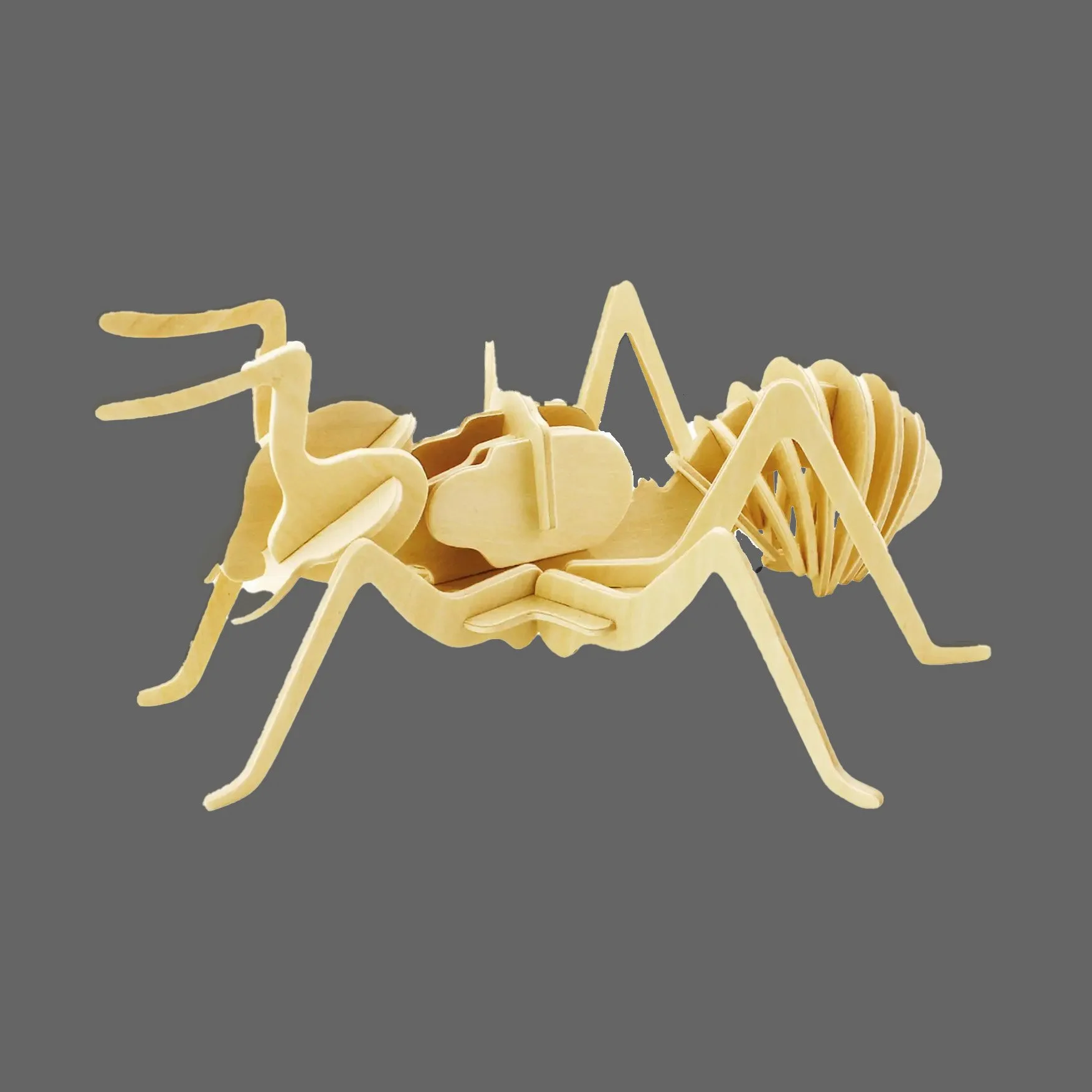 3D Wooden Puzzle: Ant