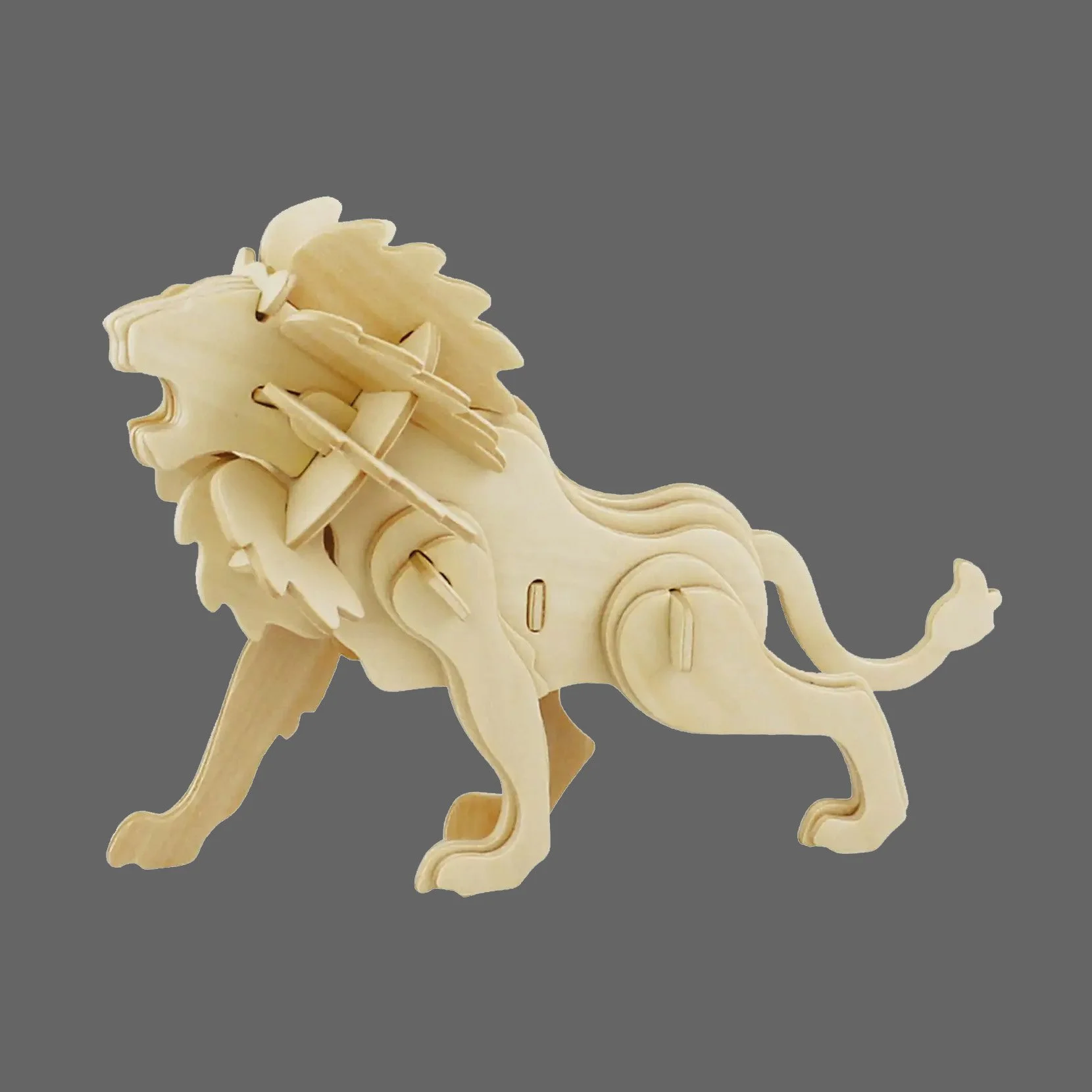 Lion.jpg