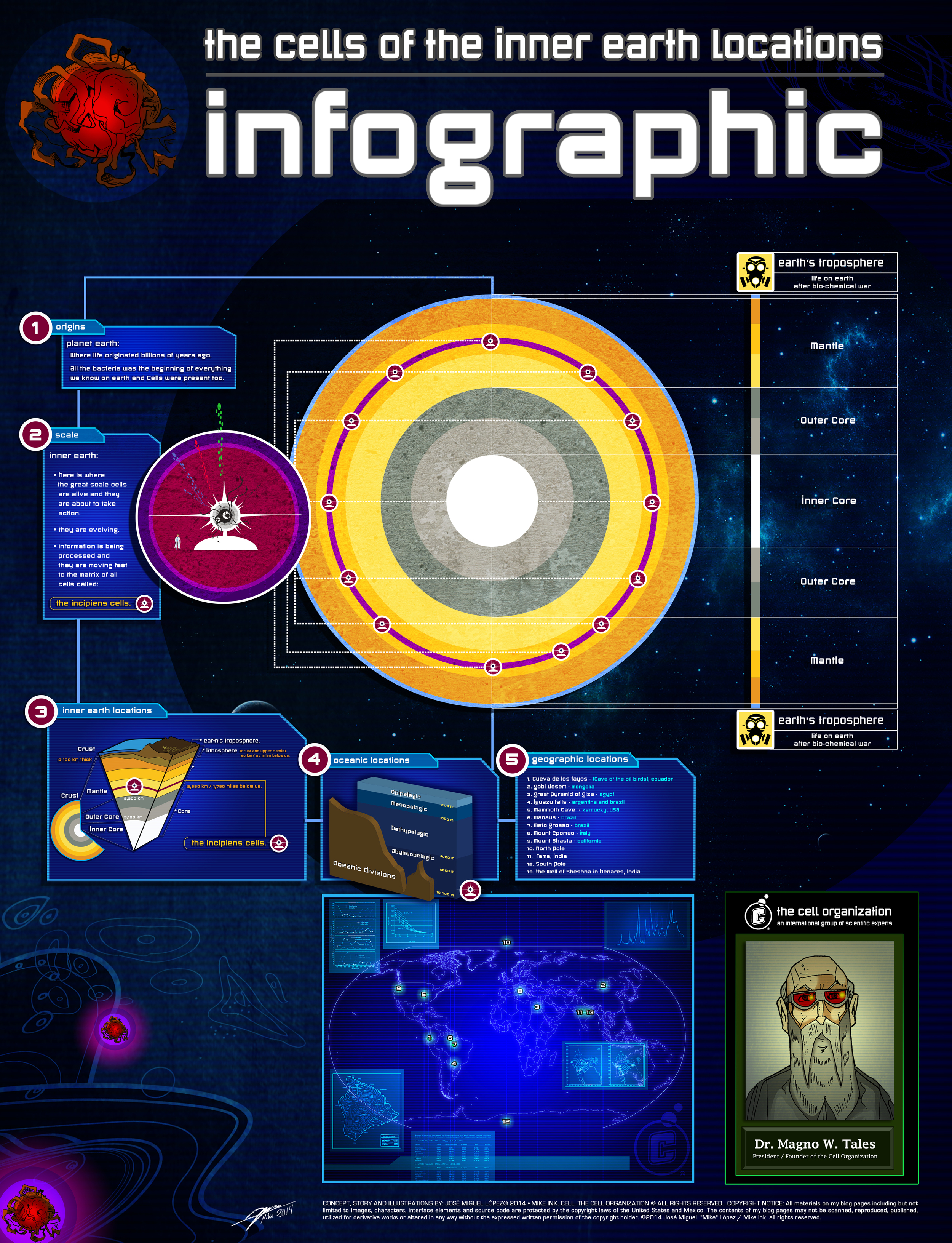 The Cell Organization - Infograph