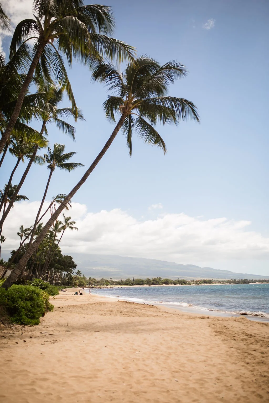 TSMauiWeddingSugarBeachbyJennMorsePhotography-7309.jpg