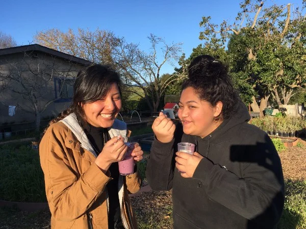 After harvesting citrus, digging beds, sifting compost...and spending sweet time with the baby goats...we jumped into the kitchen to make oat bran pumpkin muffins and super tasty smoothies with last year's youth-grown berries! Awww yeah--