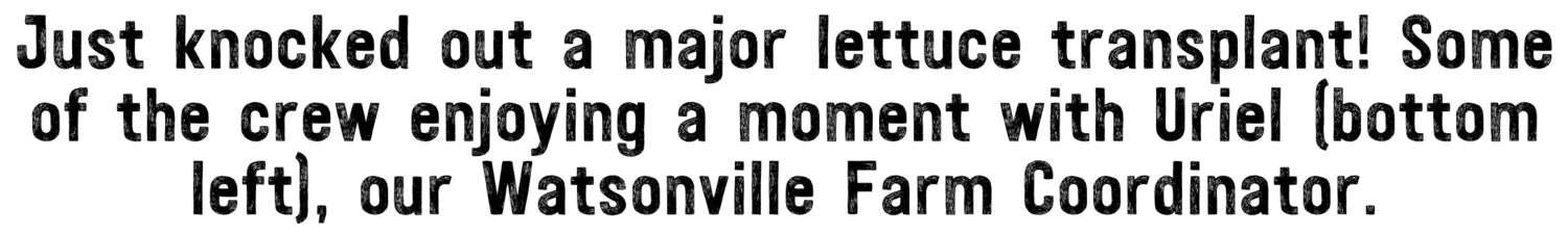 cdf0561e-dec2-4906-938c-1f9dd17fd955.png