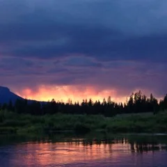 Your Place in the Circle: A Writing, Yoga, and Nature Retreat