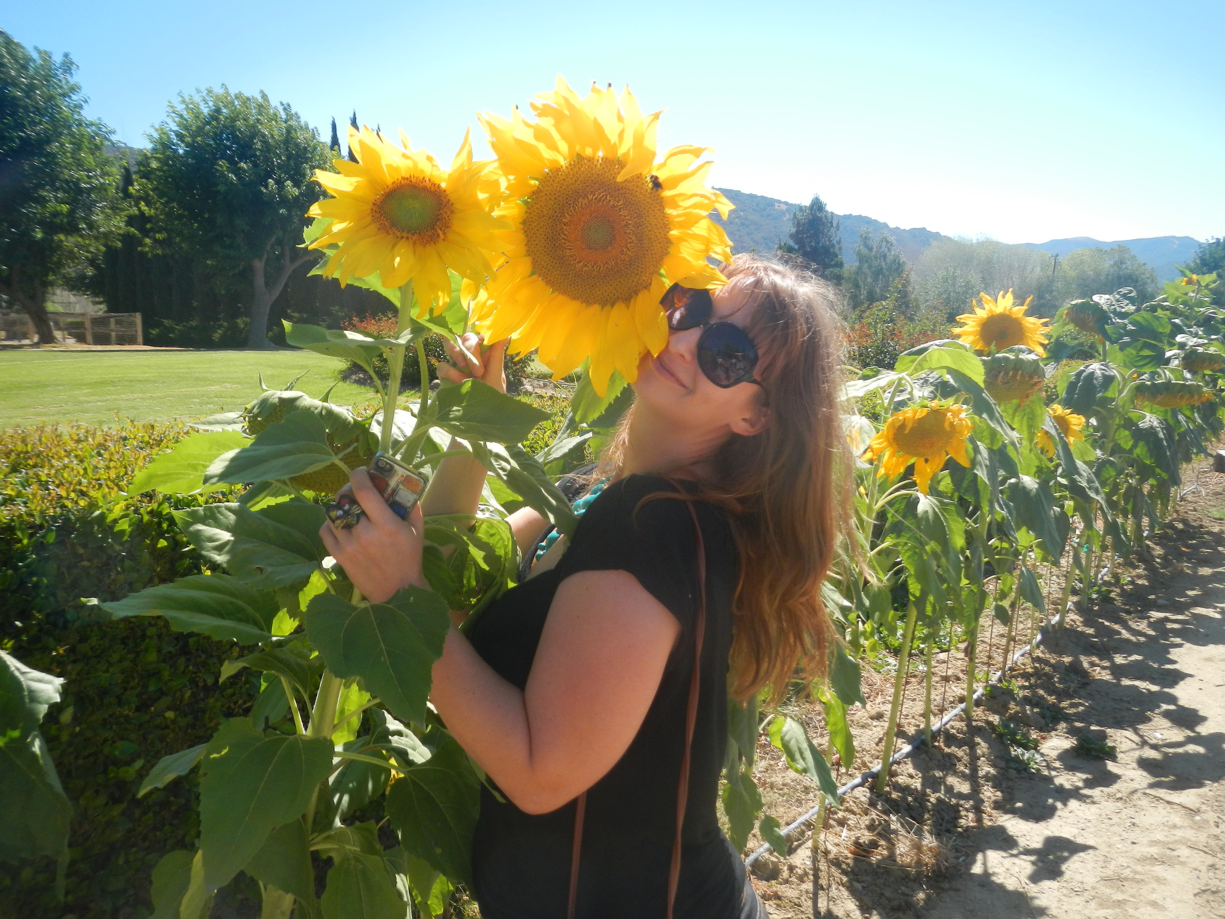 Sunflowers!