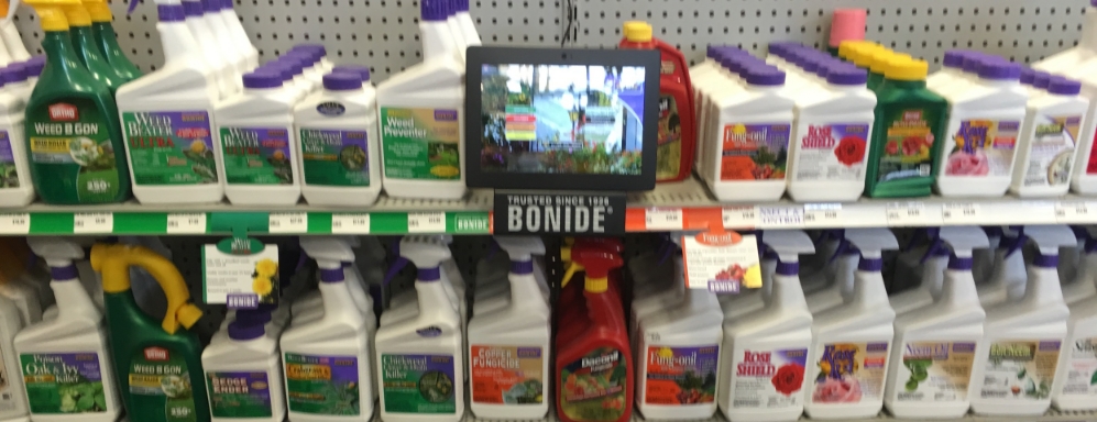 IMG_8455.jpeg
