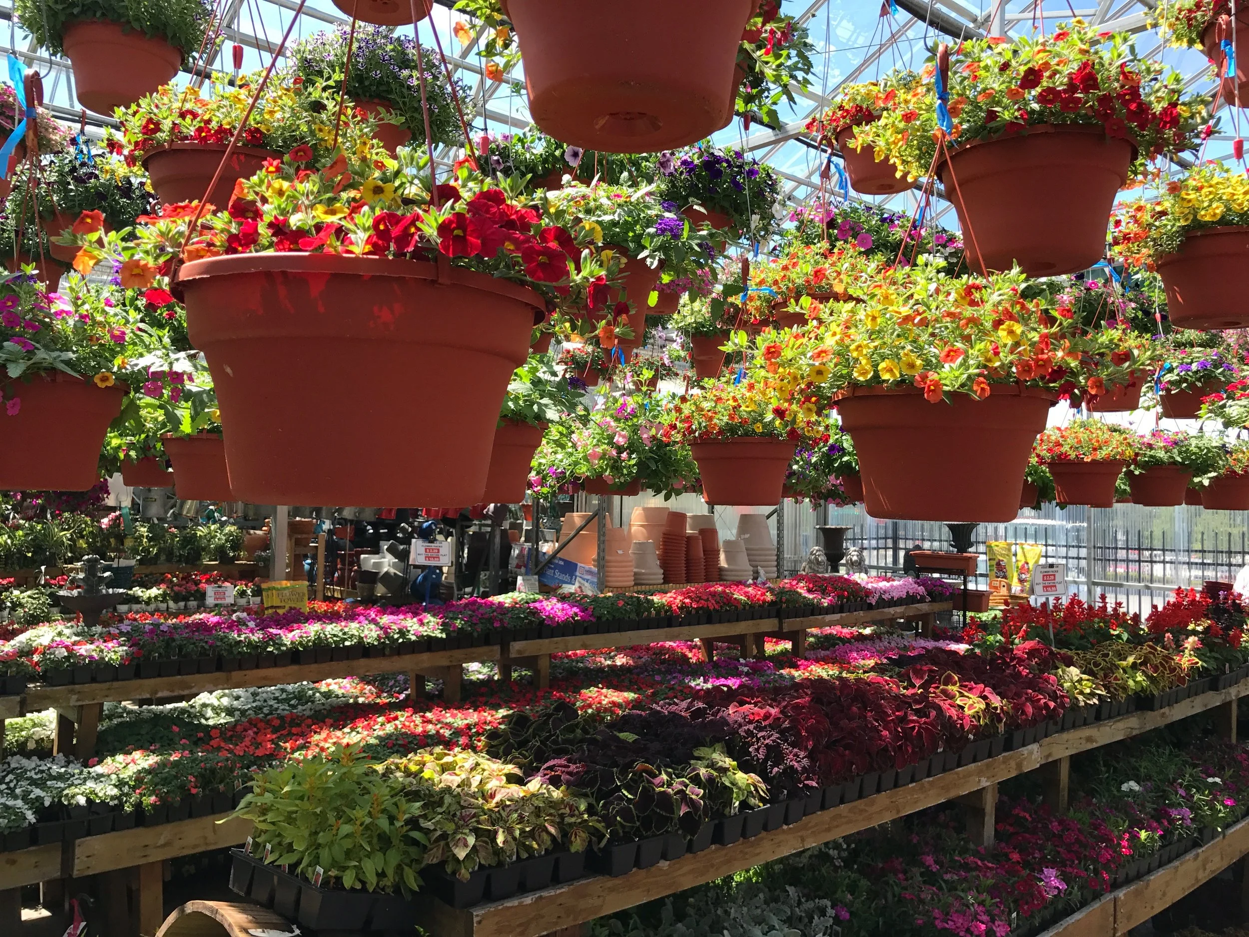 Our Greenhouse — Jerry's For All Seasons