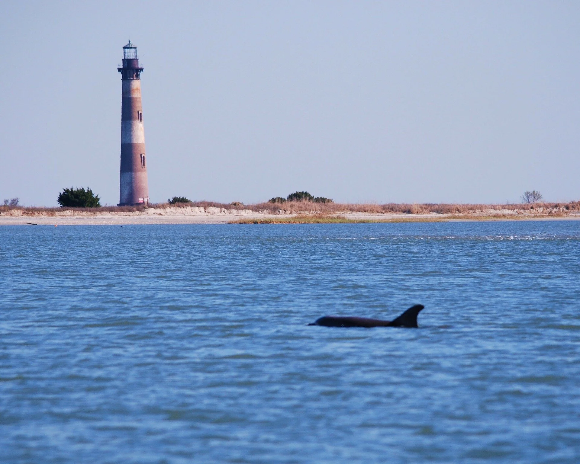 Barrier Island Eco Tour