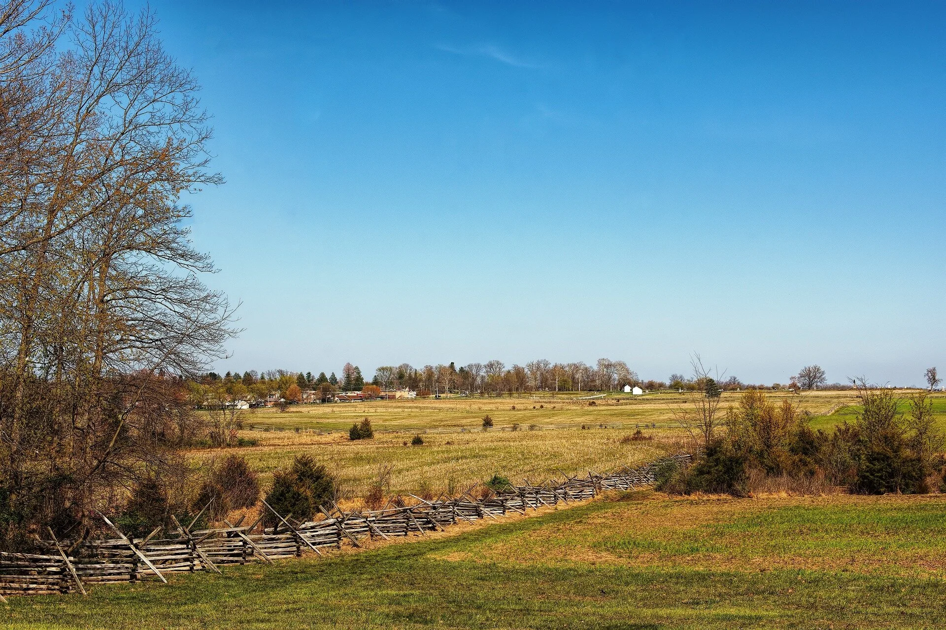 nature-3273270_1920.jpg
