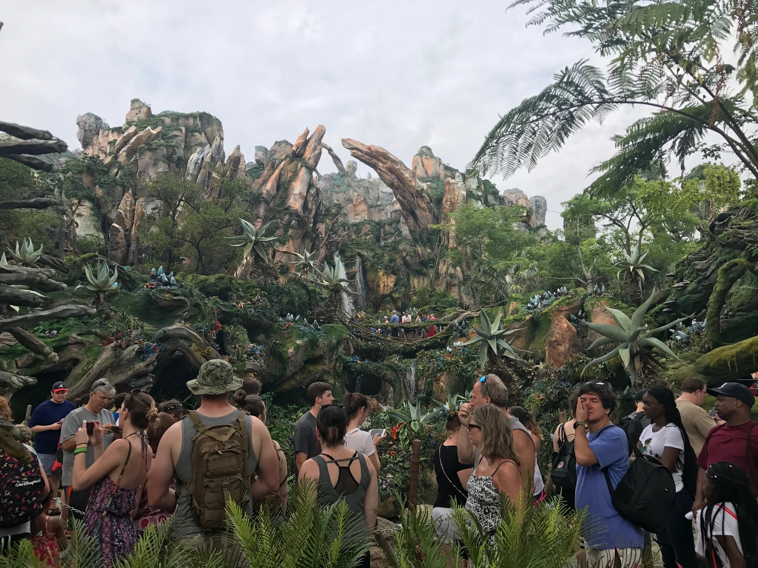 Disney's Animal Kingdom