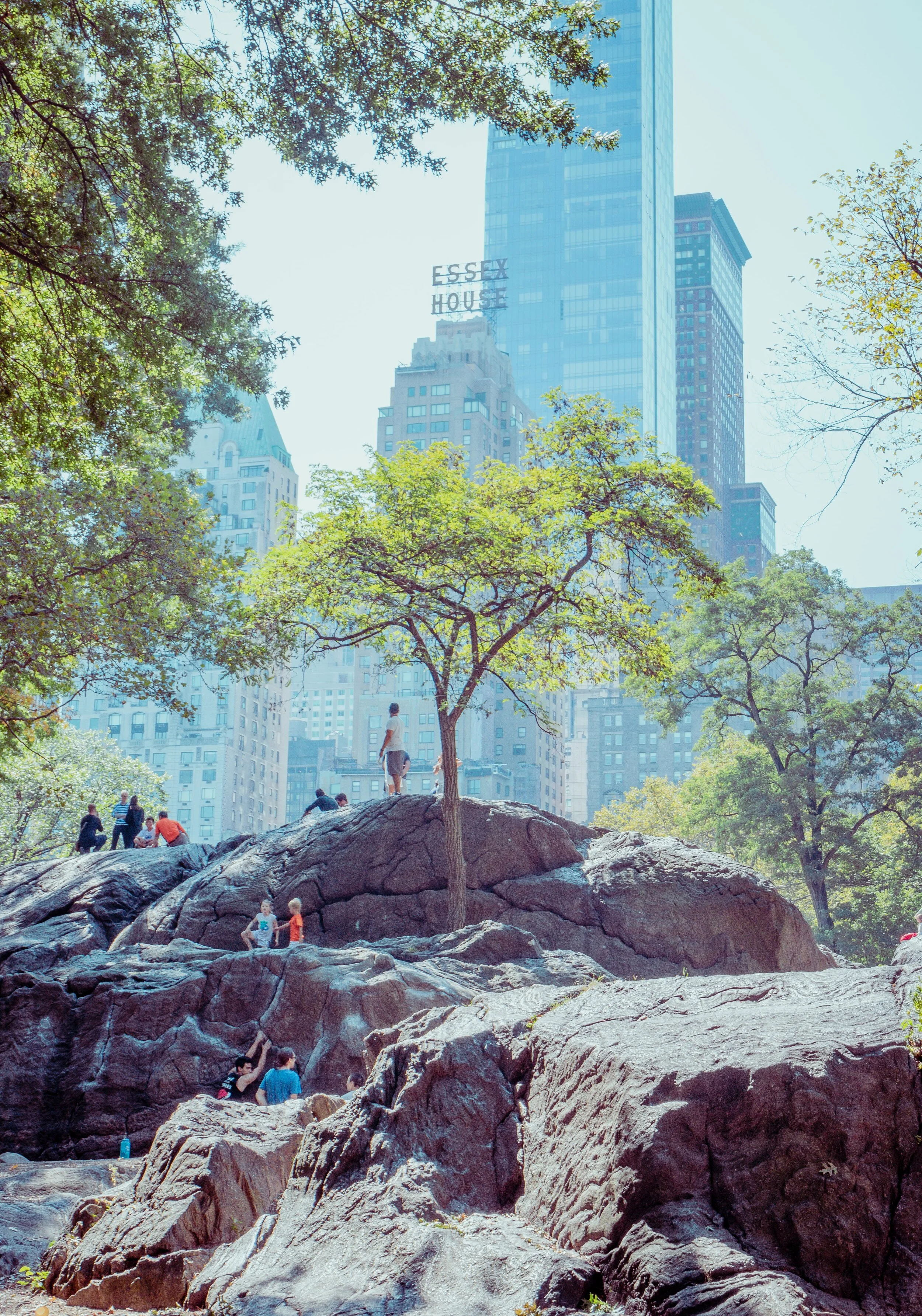 Central Park