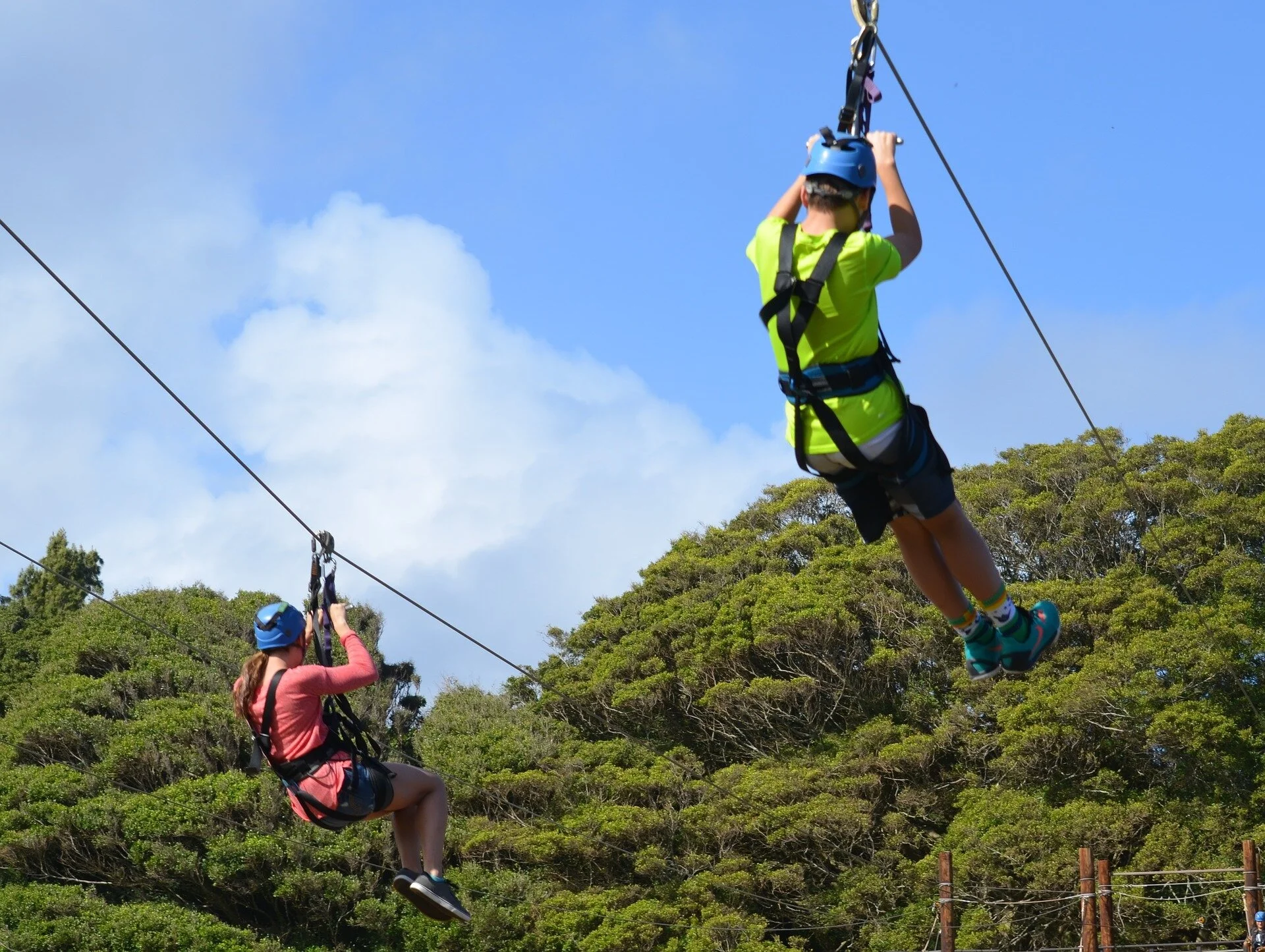 zipline-1270003_1920.jpg