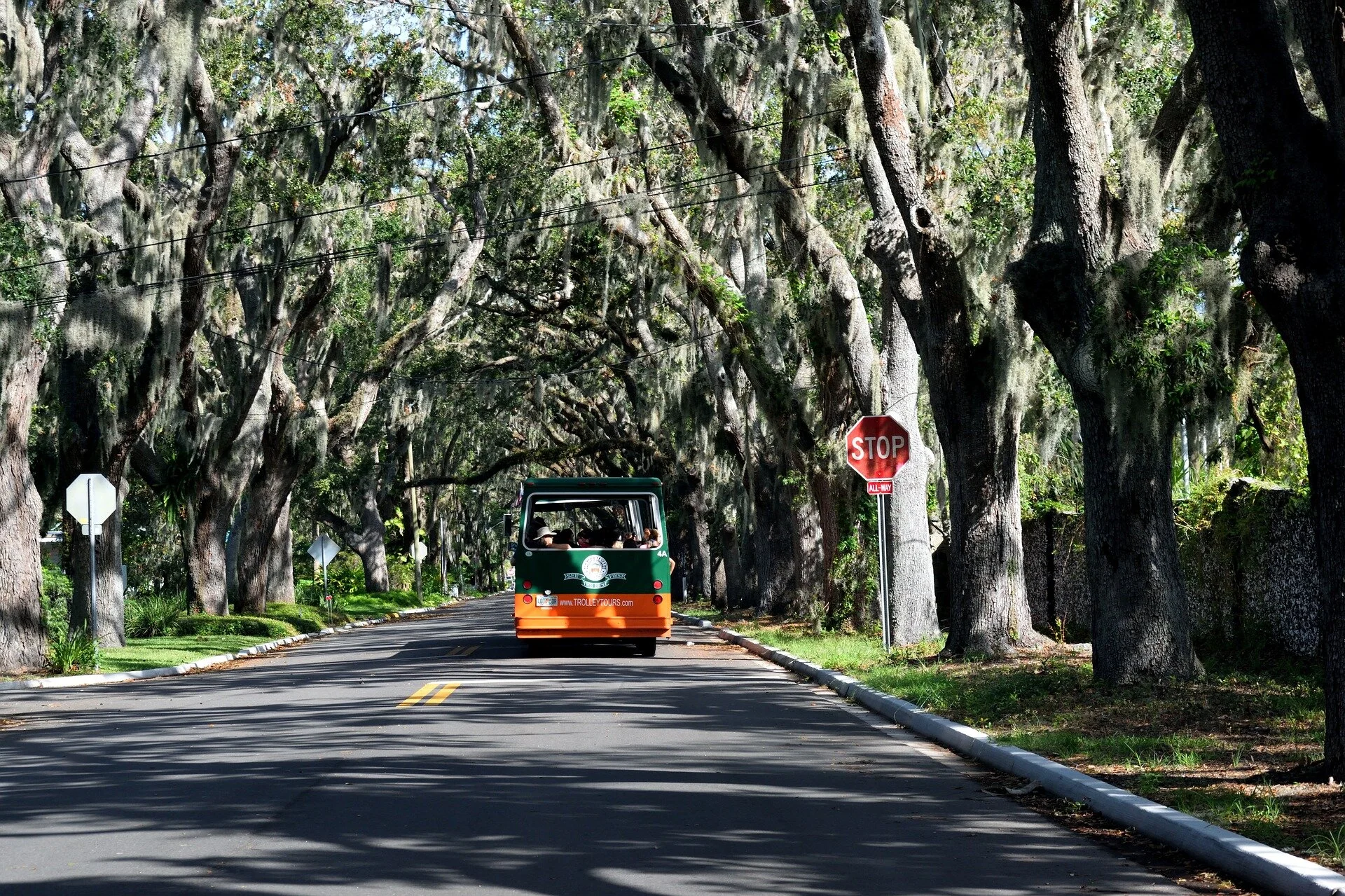 Trolley Tours