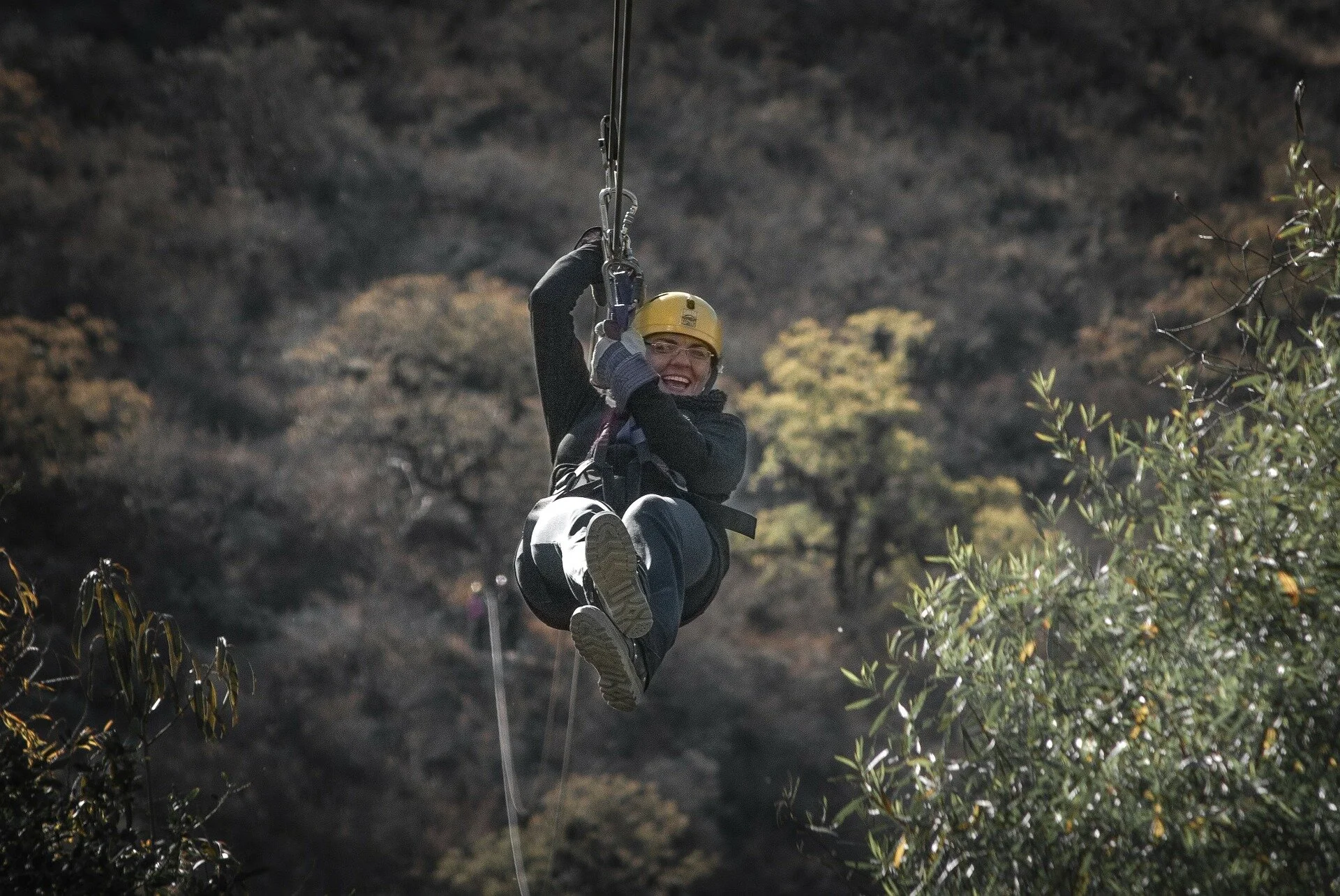 zipline-168019_1920.jpg