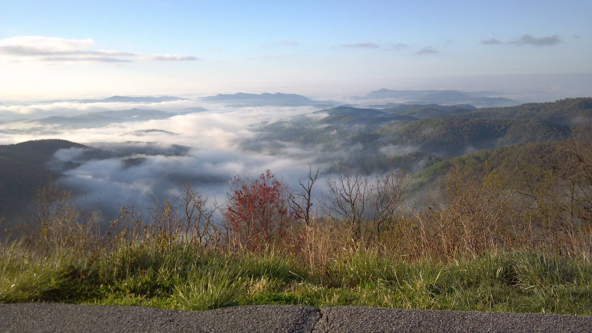 blue-ridge-parkway-5175057_1920.jpg