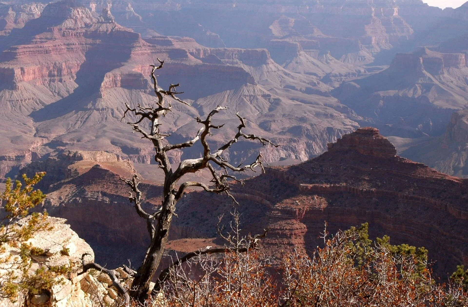 arizona-302577_1920.jpg