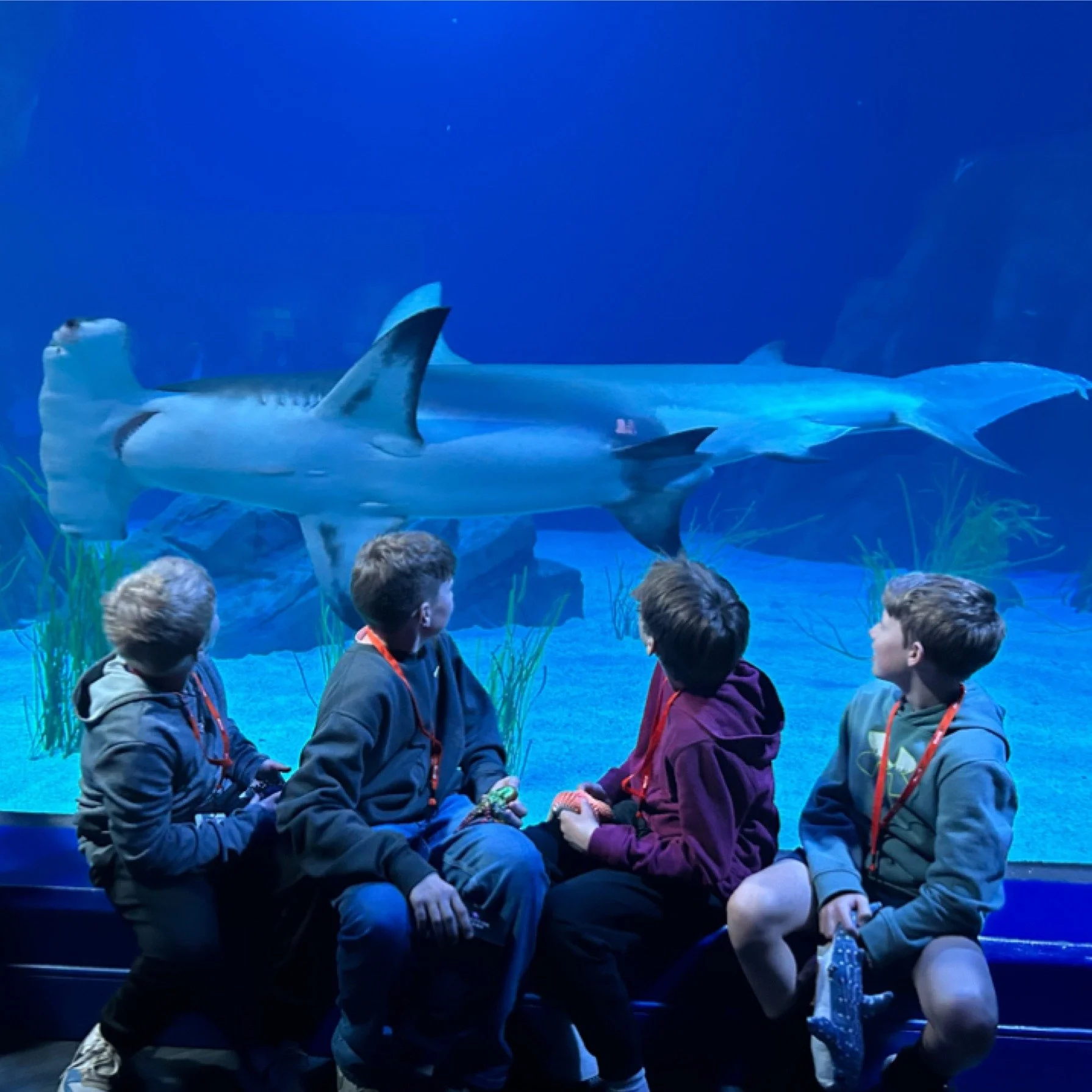 Handler Log: Week 11 

21 trips. 10 cities. 1 massive week.

Last week, our handlers were everywhere with students groups. From the monuments in DC to the cobblestones of Charleston and the mountains of GA &amp; TN.

The Stats:
DC (4) | Charleston (4