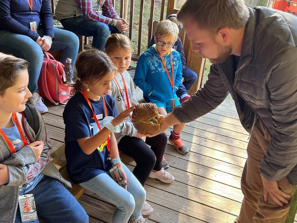 Educator showing Armadillo to students