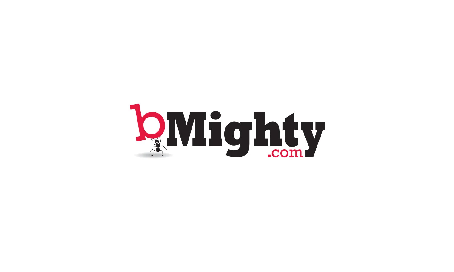 bMighty_Logo_Static.jpg