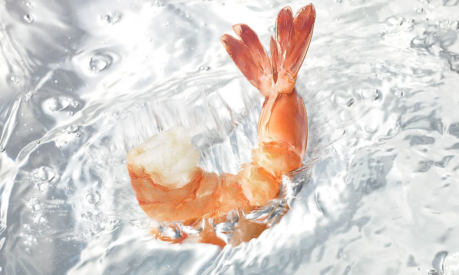 Slade Gordon shrimp photo by Jody Dole (Copy)