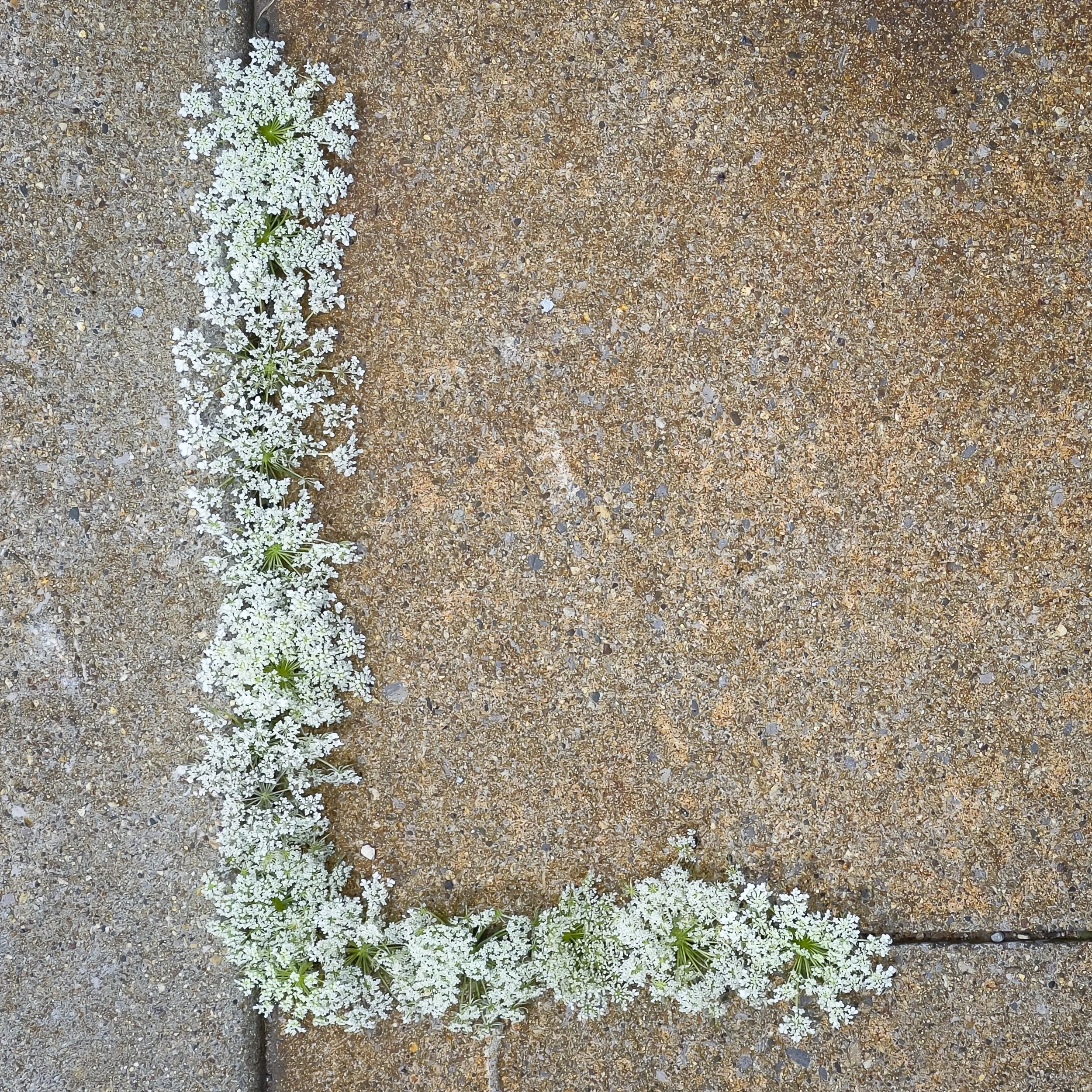 L.JPG