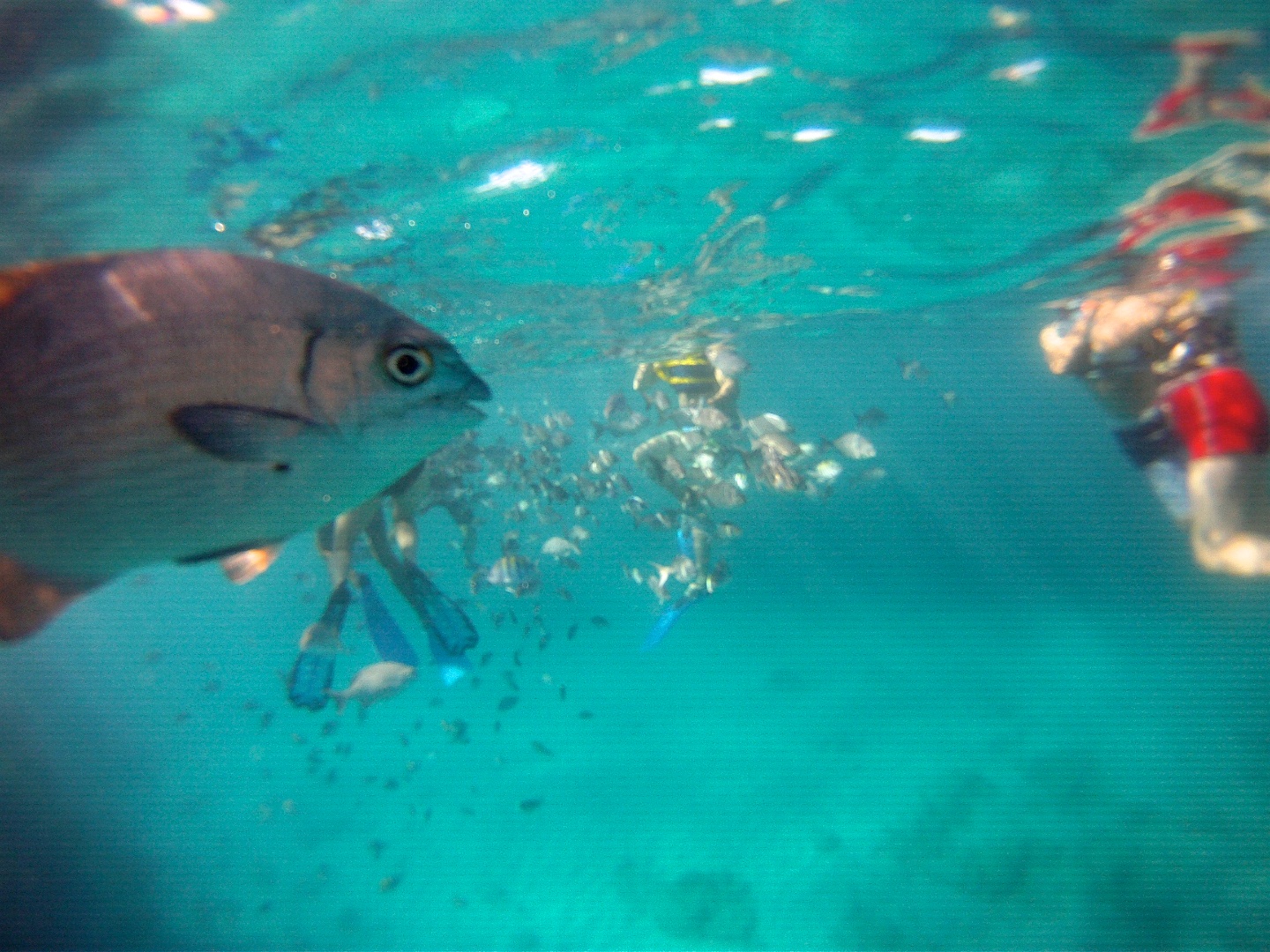 Cuba_20151130 281.jpg