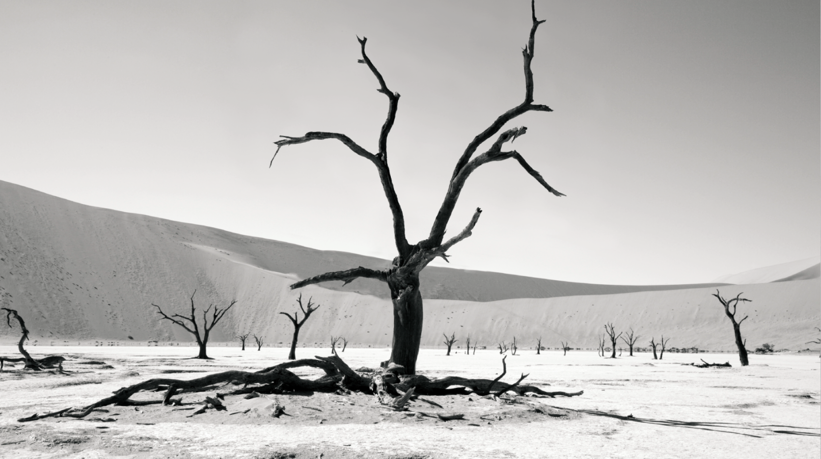  Please be patient, the graphics reel is just getting spruced up a bit. 