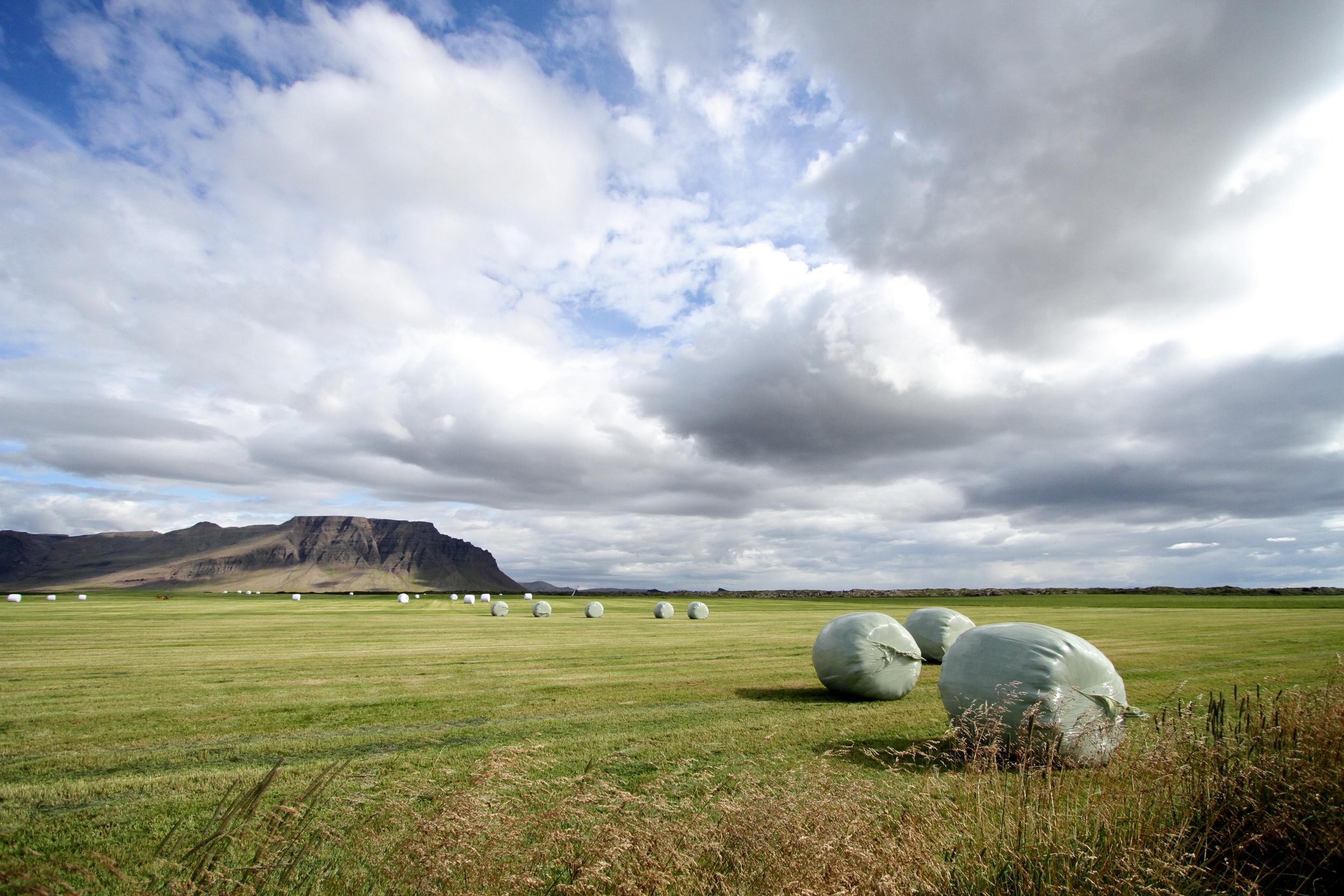 iceland_selects 26.jpg
