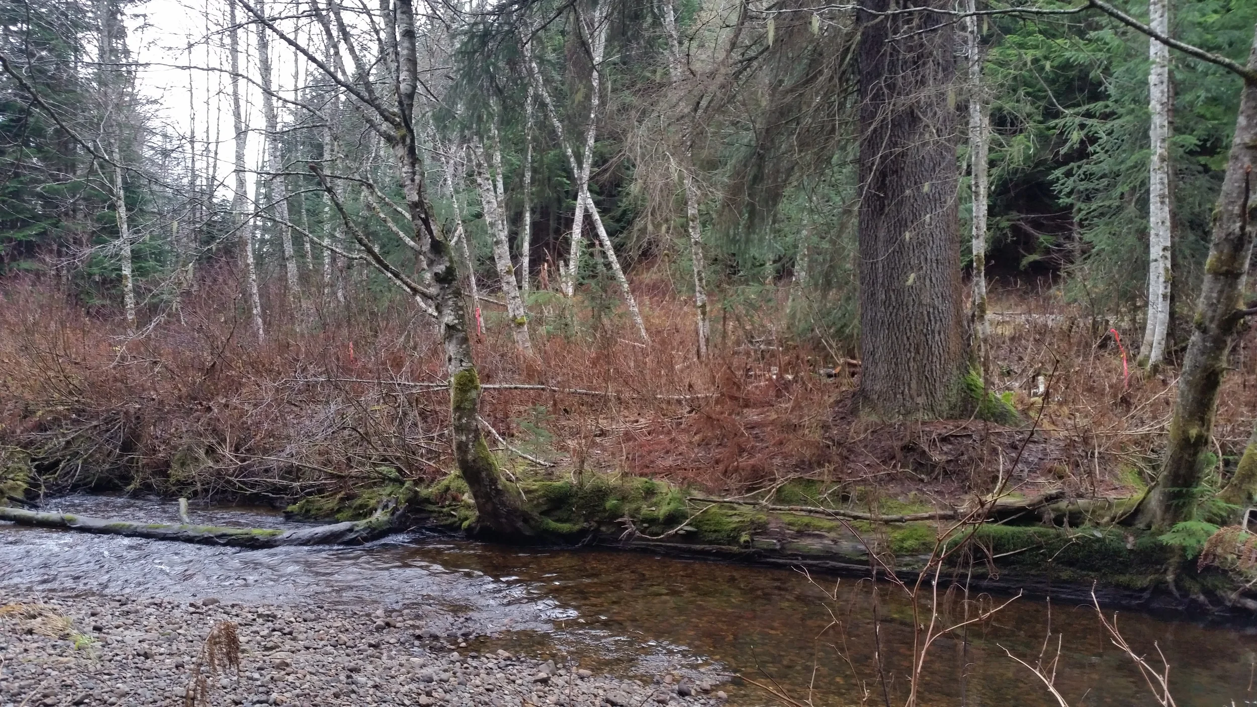 20151109_133037.jpg