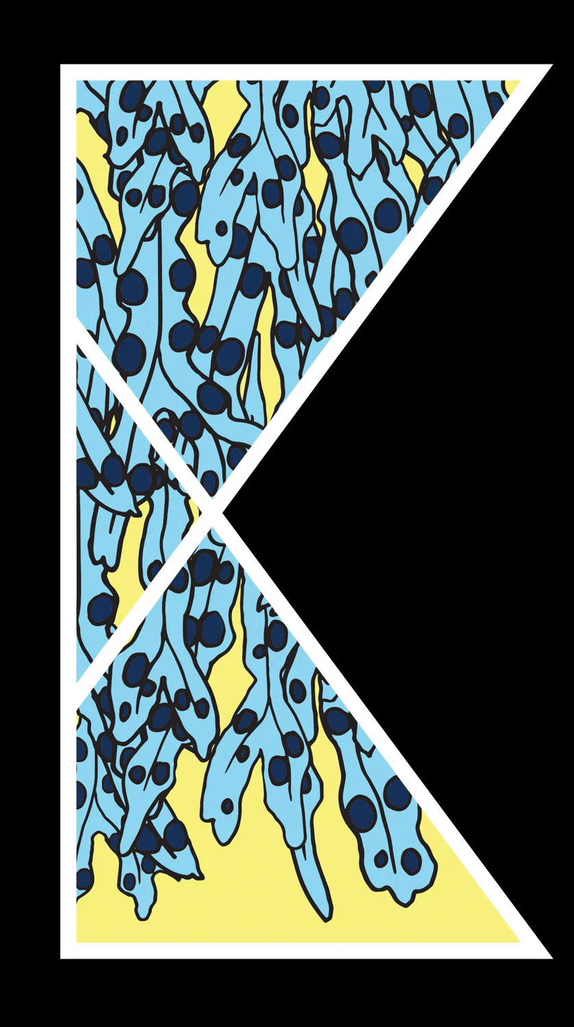 K.jpg