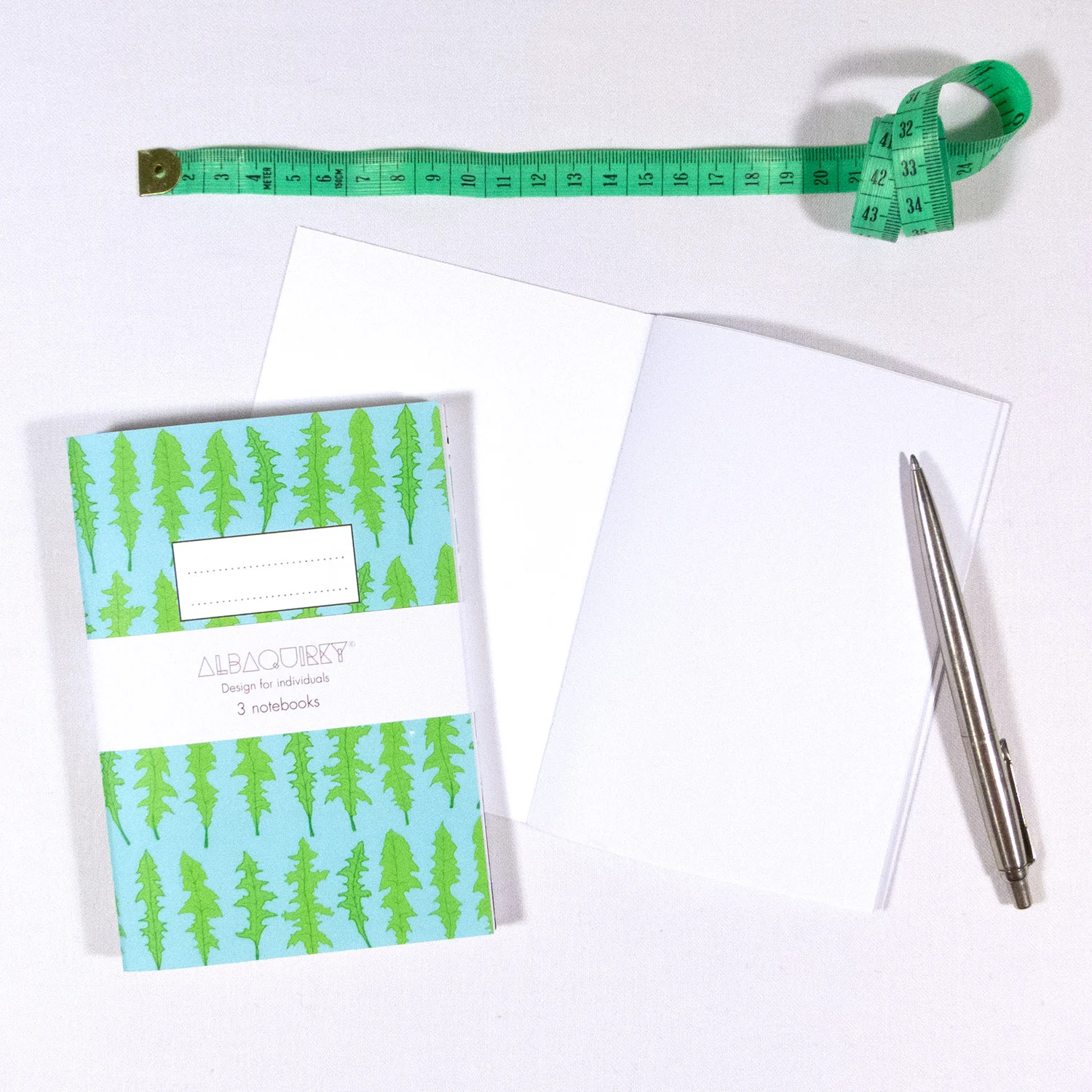 Albaquirky_notebooks_2.jpg