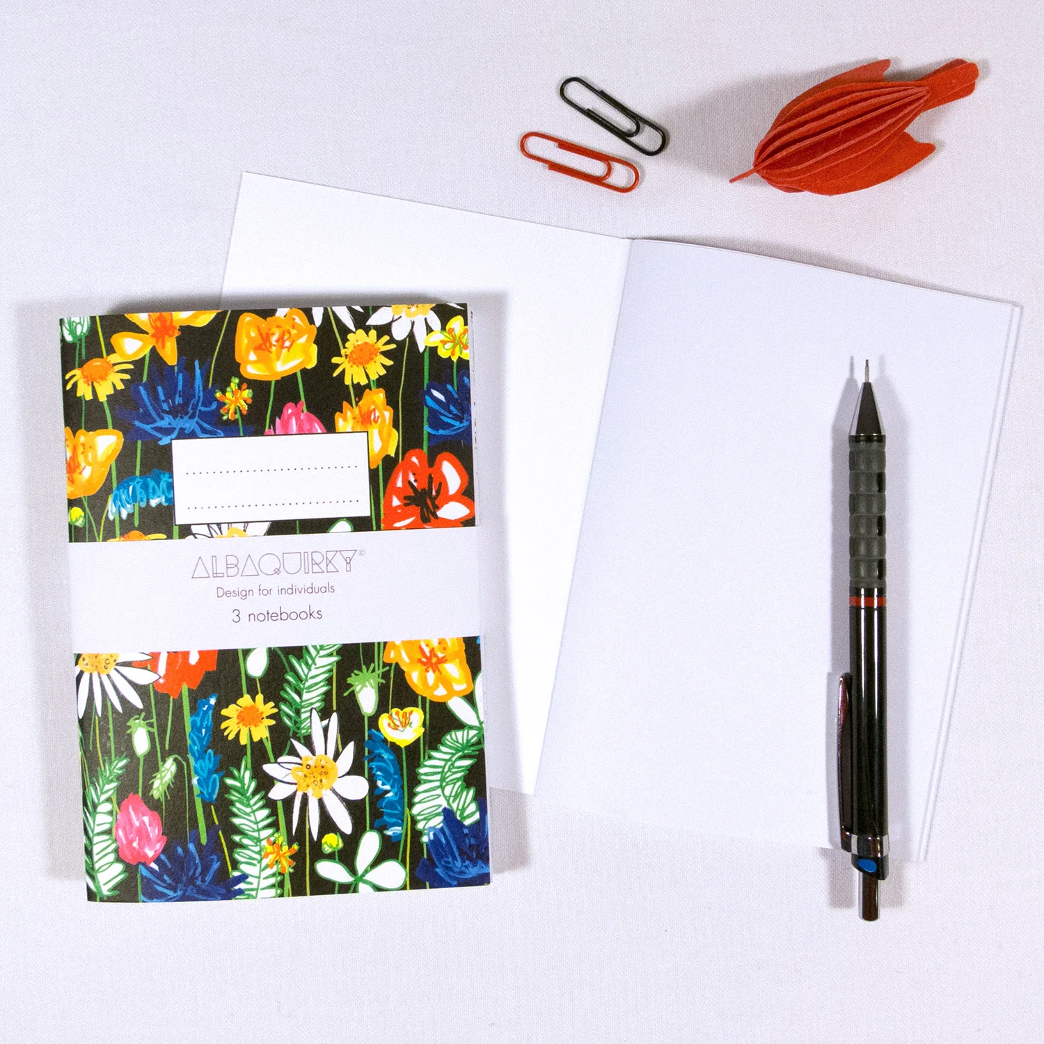 Albaquirky_notebooks_4.jpg