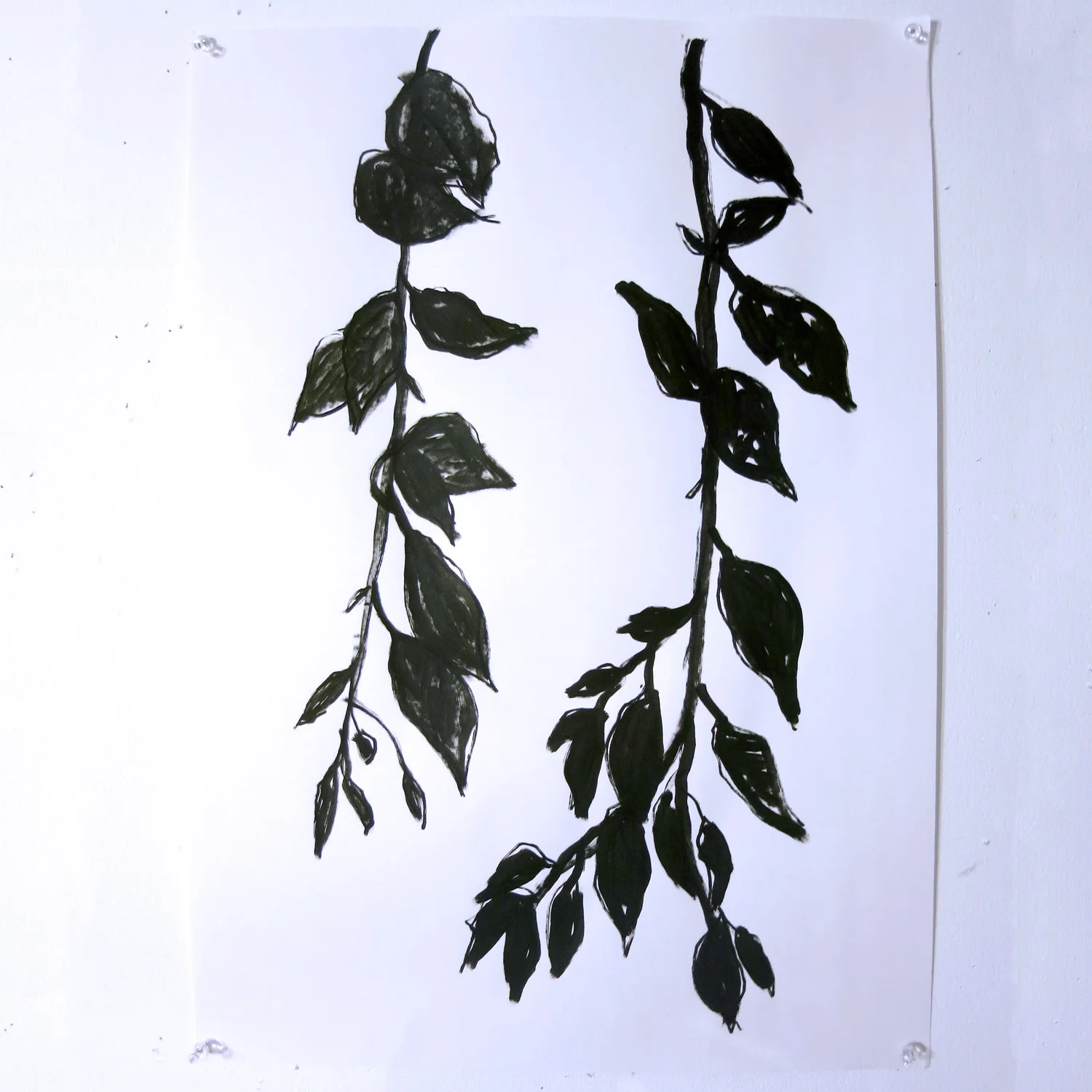 albaquirky_birch_leaves.jpg