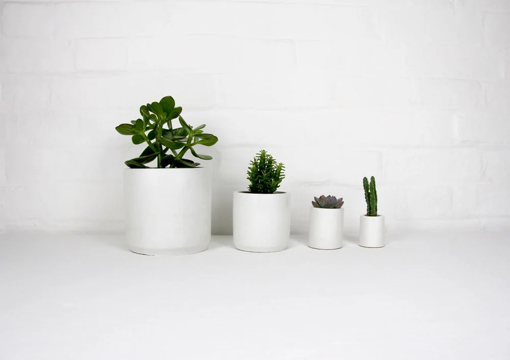 4_cement_pots_editable_tablecloth_03.jpg
