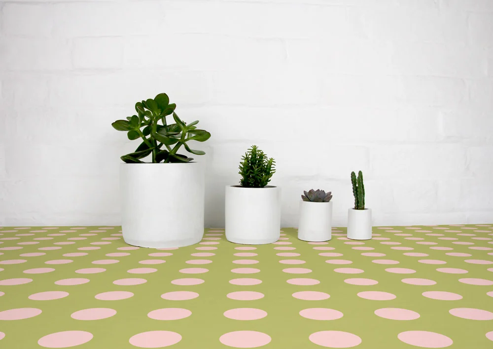 4_cement_pots_editable_tablecloth_05.jpg