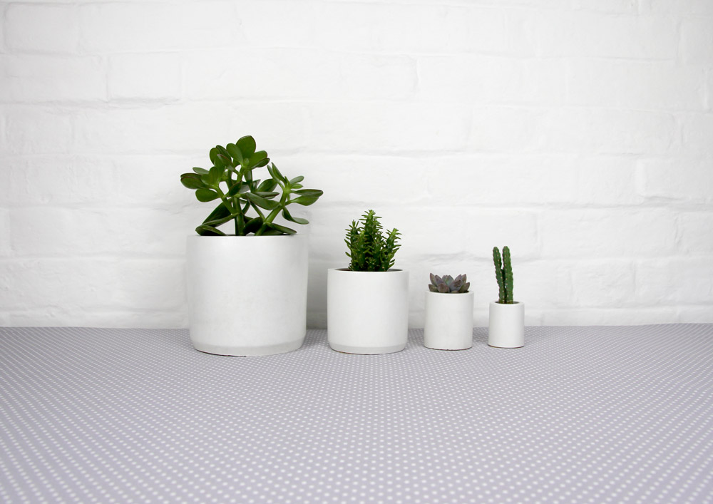 4_cement_pots_polkadot_tablecloth_02.jpg