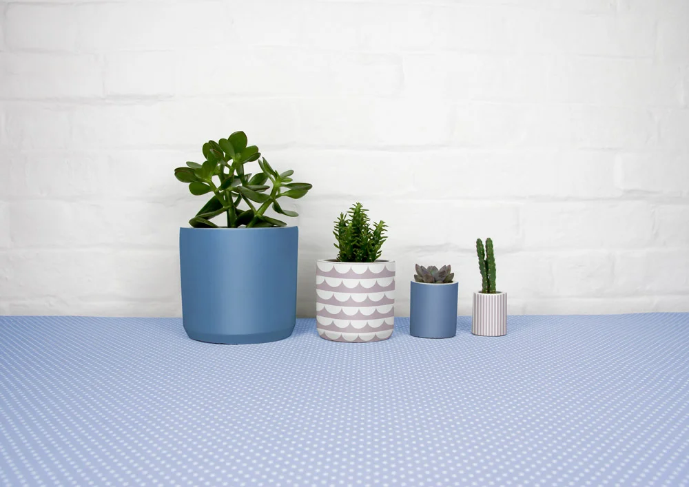 4_cement_pots_polkadot_tablecloth_04.jpg