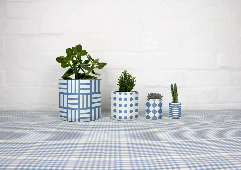4_cement_pots_gingham_tablecloth_01.jpg
