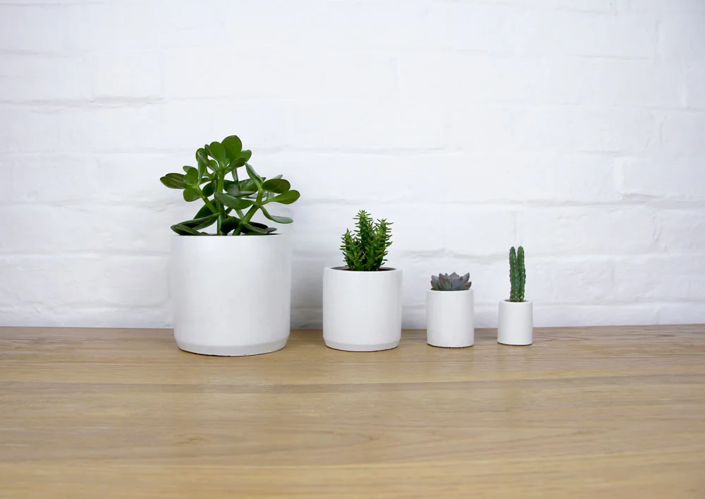4_cement_planters_wooden_ground_02.jpg