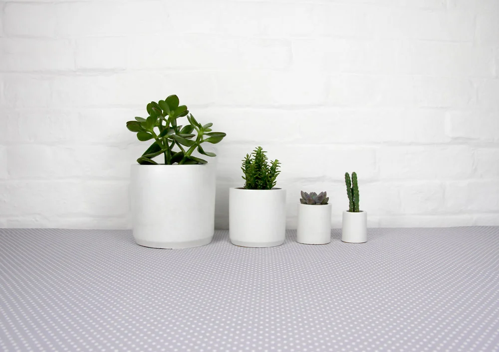 4_cement_pots_polkadot_tablecloth_02.jpg