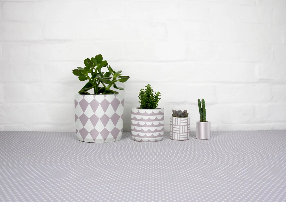 4_cement_pots_polkadot_tablecloth_01.jpg