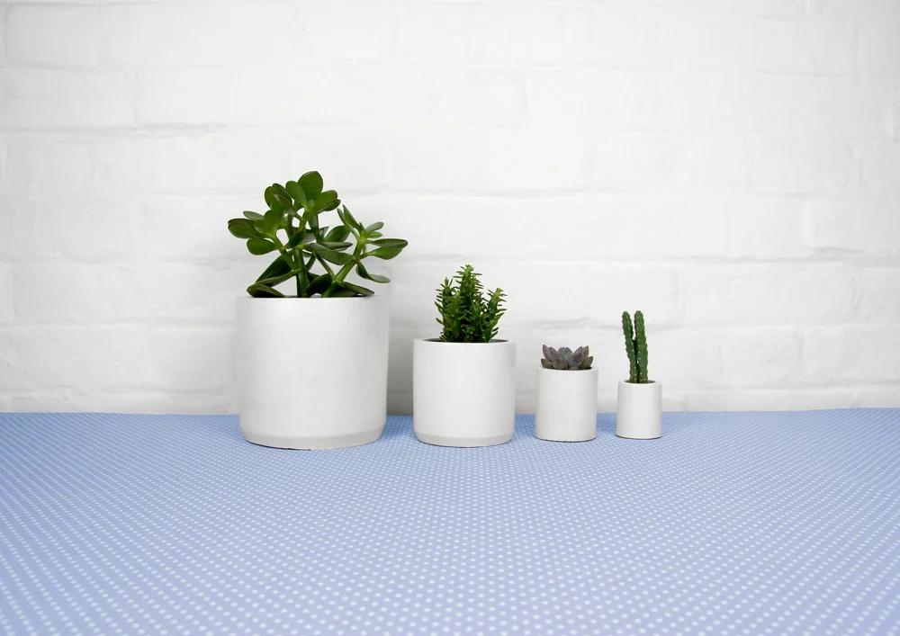 4_cement_pots_polkadot_tablecloth_03.jpg
