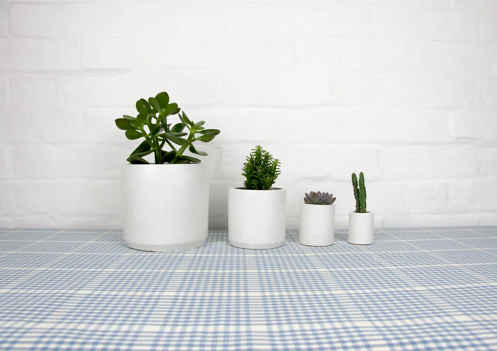 4_cement_pots_gingham_tablecloth_02.jpg