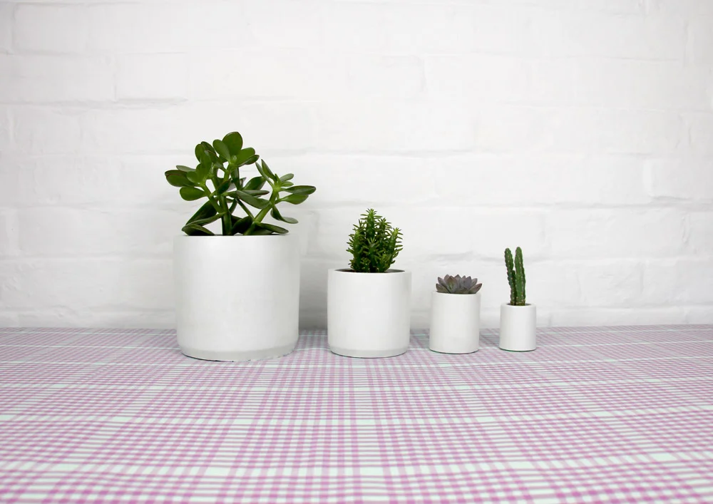 4_cement_pots_gingham_tablecloth_03.jpg