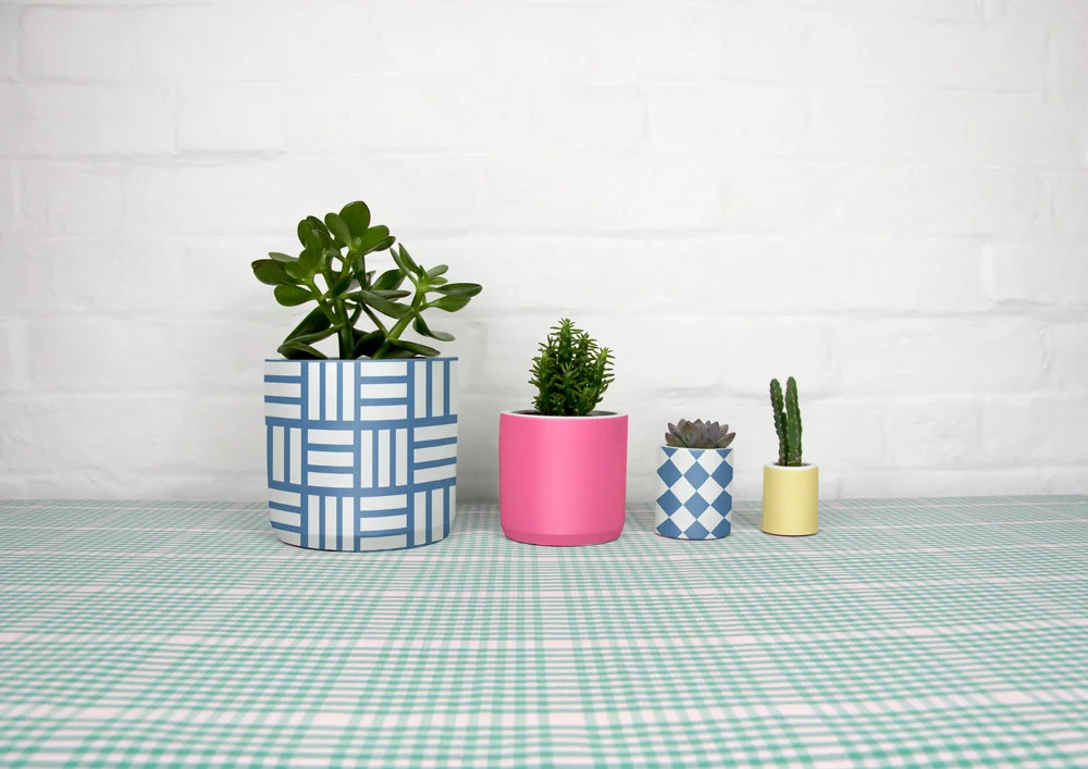 4_cement_pots_gingham_tablecloth_04.jpg