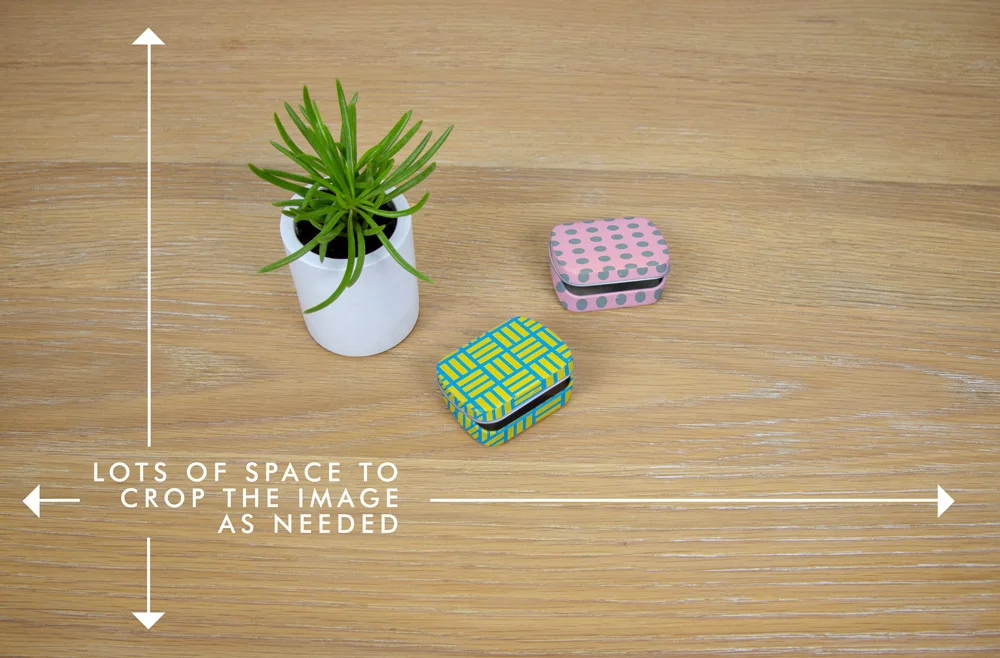 2_tins_with_plant_03b.jpg