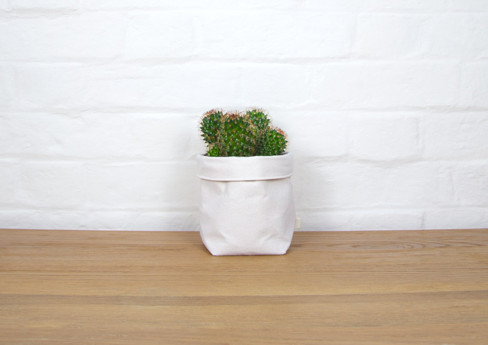 Download Fabric Planter Mockup With Cactus Albaquirky PSD Mockup Templates