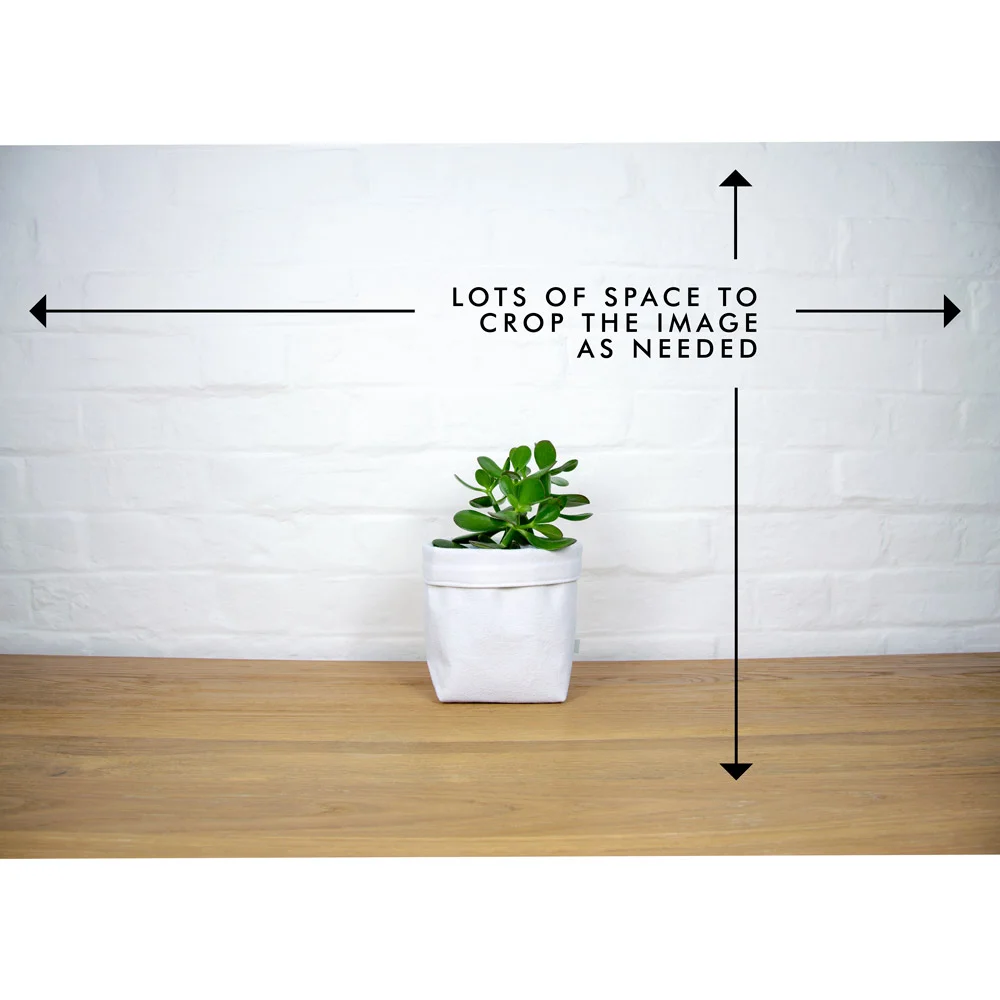 fabric_planter_and_money_tree_03b.jpg