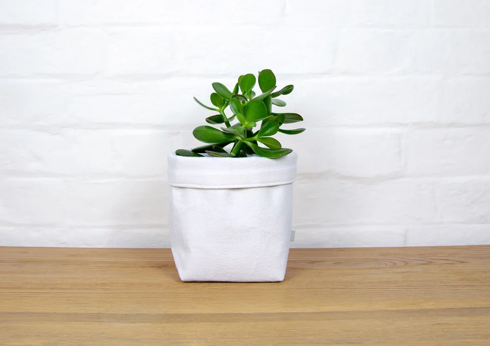 fabric_planter_and_money_tree_02.jpg